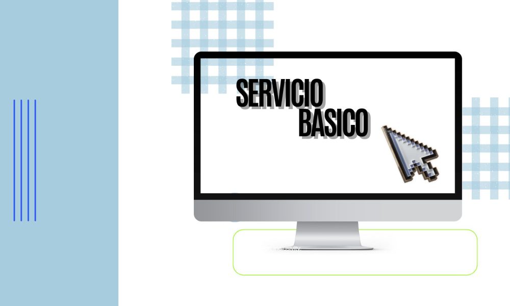 SERVICIO BASICO